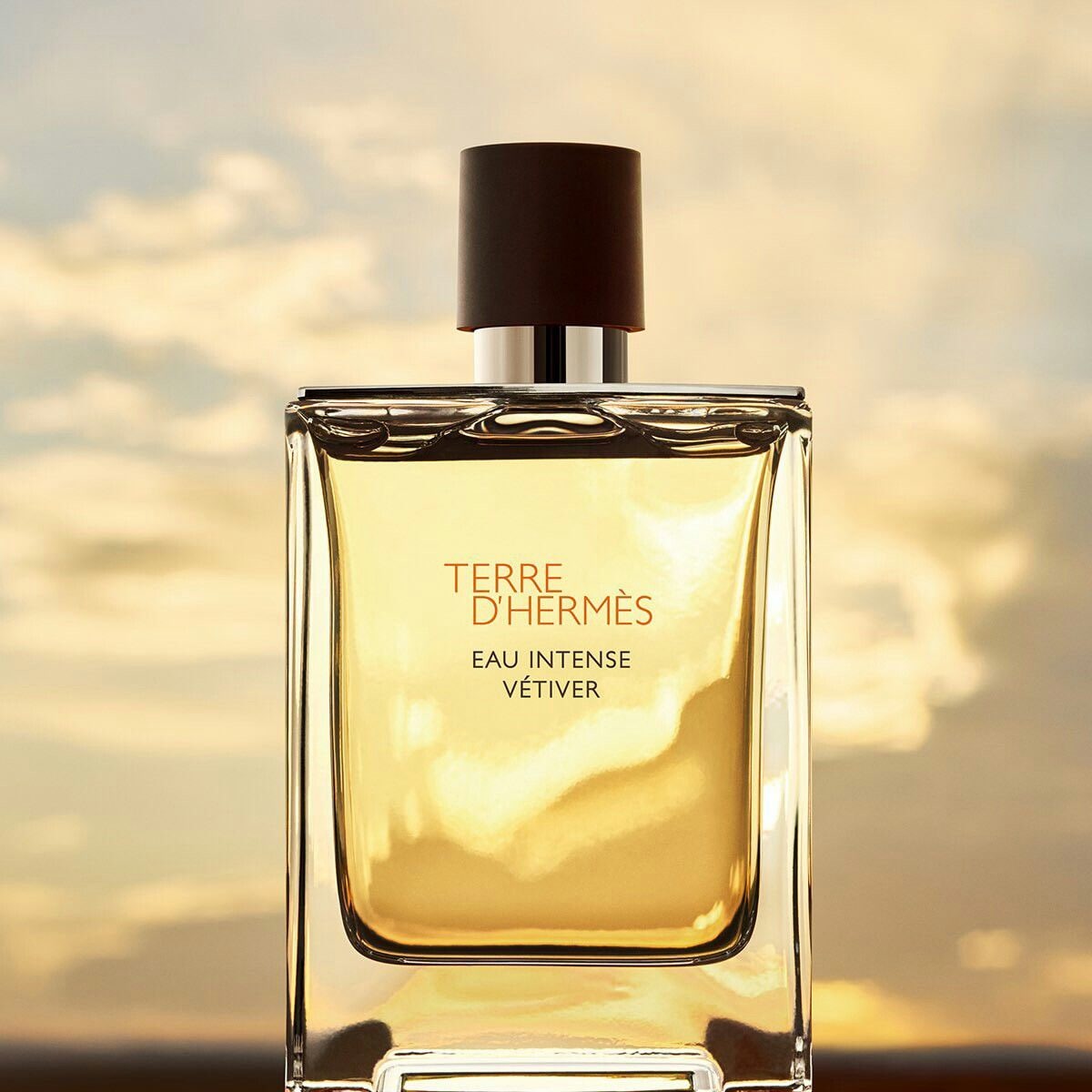 عطر تق هرمس _گرمی(دکانت)_ Hermes Terre d’Hermes